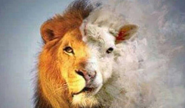 The Lion of Judah and the Lamb of God