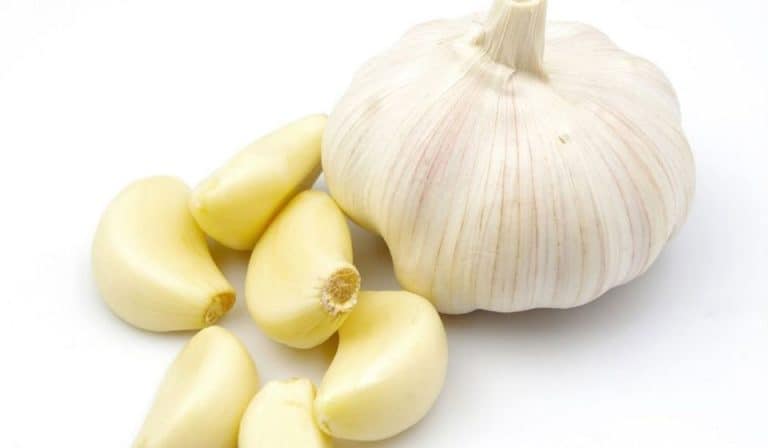 Benefits of Garlic