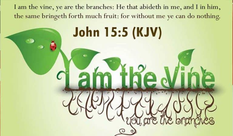 Abide in Christ